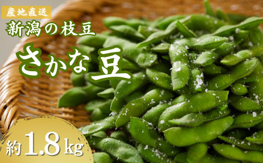 ＜先行予約＞小千谷産枝豆（品種:さかな豆）約1.8kg （9月下旬～10月中旬発送予定）冷蔵  おつまみ えだまめ 新潟 【0051-0001-01】 1437683 - 新潟県小千谷市