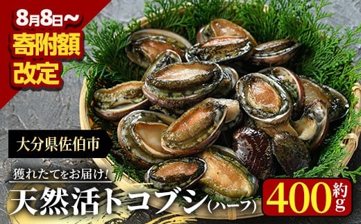 天然活きトコブシ (約400g・ハーフサイズ) 魚介 貝 トコブシ とこぶし 網焼き バター焼き バーベキュー 獲れたて 冷蔵 海の直売所 大分県 佐伯市【AS107】【海べ (株)】