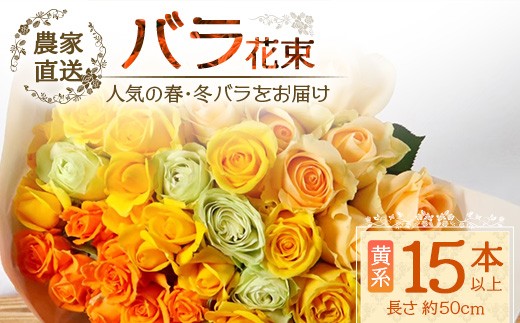 【先行予約】【人気の春・冬薔薇をお届け】ばら農家直送！バラ花束15本以上お届け(黄系) 【ギフト対応可】│ローズ 新鮮 花 フラワー 花束 ばら 薔薇 バラ 誕生日 記念日 結婚祝い ギフト プレゼント お祝い 贈り物 贈答 鹿児島県 南大隅町 富田バラ園 TB-11 2226652 - 鹿児島県南大隅町