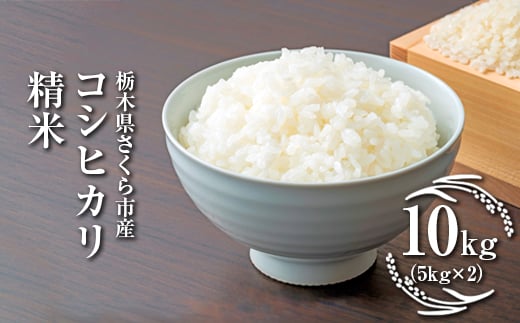 令和7年度産　栃木県さくら市産コシヒカリ 精米10kg（5kg×2）｜米　白米　コメ　こめ　こしひかり　菜っ葉館※2025年10月中旬頃から順次発送予定 2225890 - 栃木県さくら市