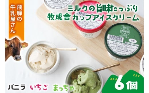 【6個セット】牧成舎のカップアイスクリーム｜バニラ・抹茶・いちご 各2個（計6個）｜飛騨産ミルク使用・お取り寄せ・ギフト対応可｜飛騨高山 牧成舎 DF046 2198121 - 岐阜県高山市