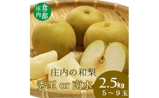 食の都庄内 庄内の和梨[秀玉or南水]約2.5kg※9月中旬ごろより順次配送
