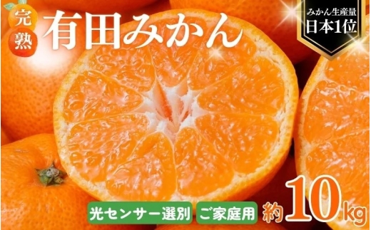 [ご家庭用]農家直送 こだわりの 完熟 有田みかん 約10kg+250g(傷み補償分) [11月・12月発送から選択可能](日付指定不可) 有機質肥料100% 有田みかん みかん ミカン 蜜柑 柑橘 果物 くだもの フルーツ 甘い 温州みかん 先行予約[CE-nuk101-11]