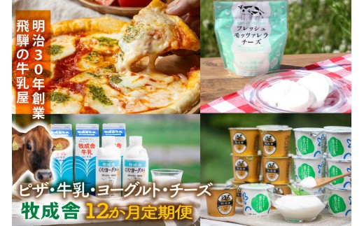 【全12回お届け】牧成舎の乳製品定期便｜ピザ・ヨーグルト・チーズ・牛乳を毎月楽しむ｜乳製品 詰合せ デザート 惣菜 乳飲料 牧成舎 DF235