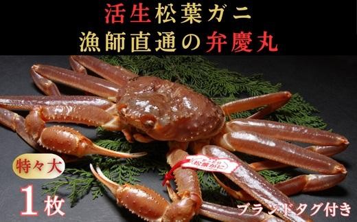 松葉ガニ活生「特々大1枚」ブランドタグ付き※着日指定不可※【弁慶丸】