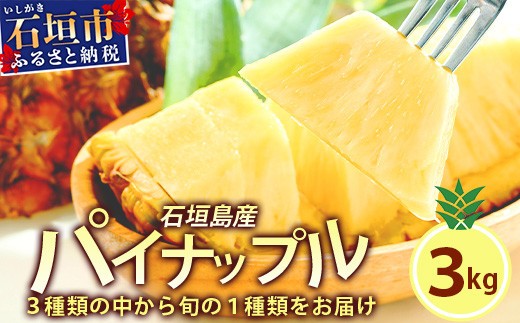 石垣島産パイナップル 2～6個 約3kg 《2025年5月から順次発送いたします》 | ふるさと納税 パイナップル 産地直送 フルーツ 果物 沖縄県石垣市 石垣 沖縄 石垣市 石垣島 KP-14