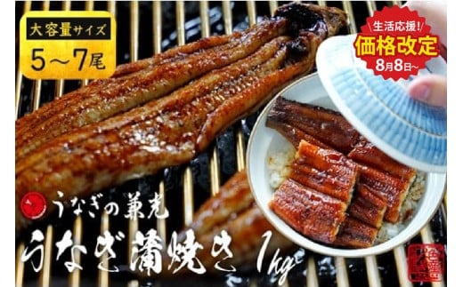 【生活応援】大ボリューム1kg 愛知県三河一色産 うなぎ蒲焼き (5尾~7尾)・U040-33 蒲焼き 総菜 国産うなぎ ウナギ 鰻 愛知県産 西尾市産 西尾一色産 タレ付き たれセット 蒲焼き かば焼き 1212066 - 愛知県西尾市