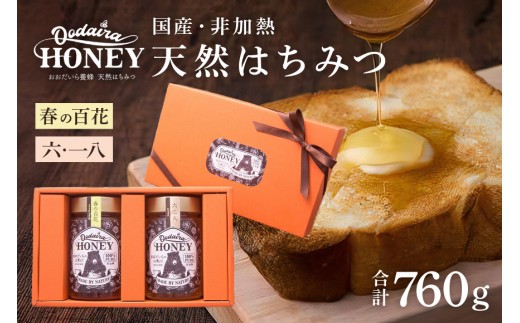 193. 国産天然 非加熱はちみつ 380g 2本セット　「春の百花」「6.18」