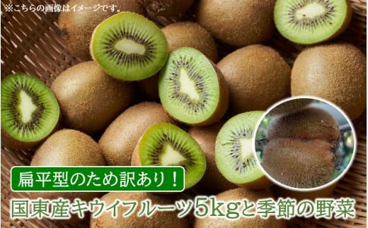 【先行予約】【訳あり】国東産キウイフルーツ5kgと季節の野菜_2596R