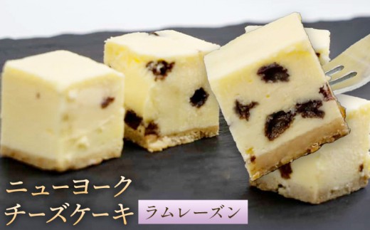 ニューヨーク チーズケーキ ラムレーズン 16個入り (1箱)《30日以内に出荷予定(土日祝除く)》和歌山県 紀の川市 サクセム株式会社 チーズ ケーキ クリームチーズ キューブ