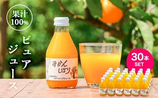 伊藤農園 100％ピュアジュース みかんしぼり180ml×30本（A604-2）