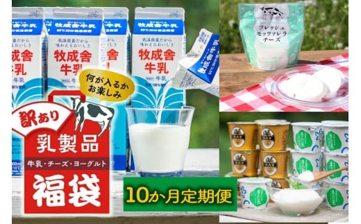 【10か月定期便】牧成舎の訳あり乳製品福袋（牛乳・ヨーグルト・チーズ詰め合わせ）訳あり 福袋 乳製品 チーズ 詰め合せ  | 牧成舎 DF230