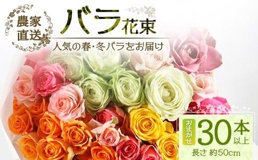 【先行予約】【人気の春・冬薔薇をお届け】ばら農家直送！バラ花束30本以上お届け(色はおまかせ) 【ギフト対応可】│ローズ 新鮮 花 フラワー 花束 ばら 薔薇 バラ 誕生日 記念日 結婚祝い ギフト プレゼント お祝い 贈り物 贈答 鹿児島県 南大隅町 富田バラ園 TB-16 2226657 - 鹿児島県南大隅町