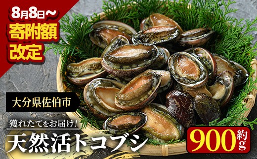天然 トコブシ (約900g) 鮮魚 魚介 貝 トコブシ とこぶし 酒蒸し 網焼き バター焼き バーベキュー 獲れたて 冷蔵 海の直売所 大分県 佐伯市【AS82】【海べ (株)】 529286 - 大分県佐伯市