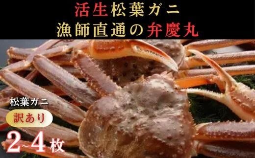 松葉ガニ 訳ありAセット※着日指定不可※【弁慶丸】