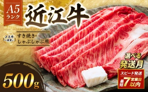 近江牛 A5 特上ロース すき焼き 500g 最短7営業日以内発送 スピード発送 A5ランク メス牛 特上 近江牛ロース ロース 牛肉 肉 お肉 和牛 黒毛和牛 国産牛 日本三大和牛 雌牛 ブランド牛 すきやき しゃぶしゃぶ お歳暮 おすすめ 滋賀 彦根 