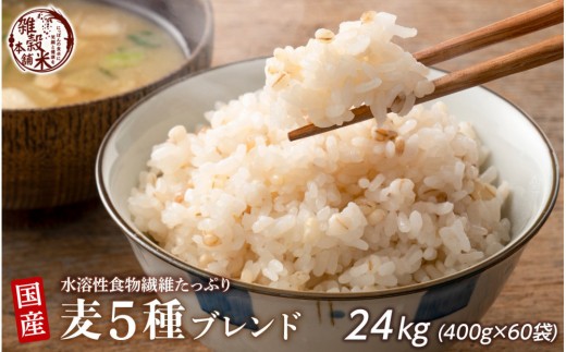 国産麦5種ブレンド 24kg(400g×60袋)