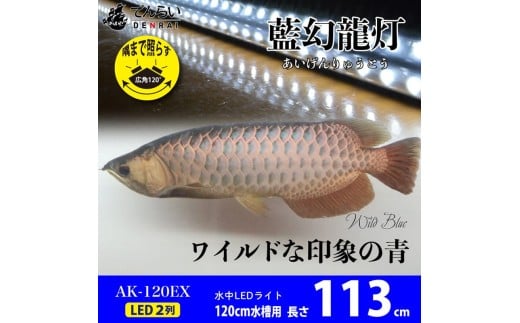 一瞬で綺麗に魅せる!金龍の青を最大限に強調する水中LEDライト|AK120-EX