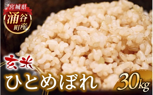 令和7年産 ひとめぼれ 30kg 玄米 [2025年11月より順次発送予定] [sato004]