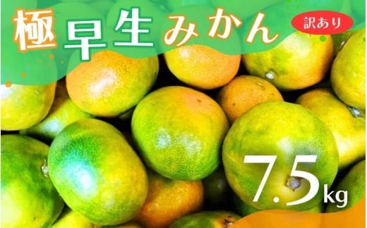【訳あり】こだわりの極早生みかん 約7.5kg 【2025年10月上旬より順次発送予定（お届け日指定不可）】 有機質肥料100% サイズ混合  有田産【CE-nuk166】 2230015 - 和歌山県かつらぎ町