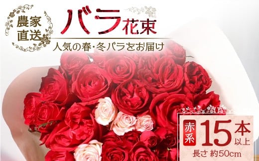 【先行予約】【人気の春・冬薔薇をお届け】ばら農家直送！バラ花束15本以上お届け(赤系) 【ギフト対応可】│ローズ 新鮮 花 フラワー 花束 ばら 薔薇 バラ 誕生日 記念日 結婚祝い ギフト プレゼント お祝い 贈り物 贈答 鹿児島県 南大隅町 富田バラ園 TB-9 2226650 - 鹿児島県南大隅町