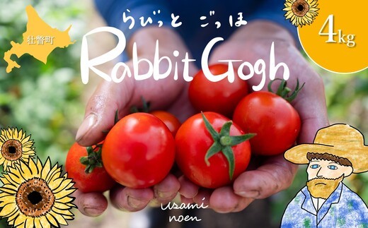 北海道壮瞥町産 ラビットゴッホ4kg 中玉トマト 【 ふるさと納税 人気 おすすめ ランキング トマト とまと 野菜 ラビットゴッホ 中玉トマト フルーツトマト フルーツ ミニトマト 甘い 糖度 美味しい 完熟 グルメ サラダ スライス 産地直送 北海道産 北海道 壮瞥町 送料無料 】 SBTAJ005