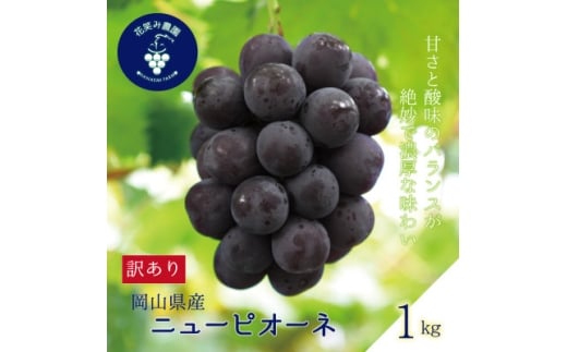 岡山　花笑み農園の 『訳ありニューピオーネ』1kg　WP-1【1650778】 2226578 - 岡山県新庄村