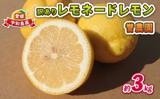 訳あり レモネード レモン 3kg 誉農園 国産 先行予約 希少 果汁 酸味 甘い 爽やか 果実 果物 くだもの フルーツ ビタミン 健康 柑橘 みかん 蜜柑 mikan 数量限定 農家直送 産地直送 国産 愛媛 宇和島 B010-138014 2295792 - 愛媛県宇和島市