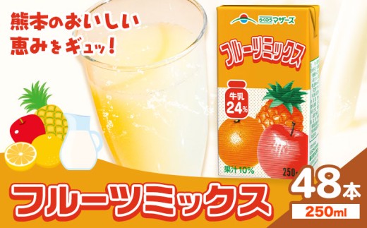 常温保存可能 フルーツミックス 250ml×48本 合同会社たべたせいか《30日以内に出荷予定(土日祝除く)》熊本県 菊池市 ミックスジュース らくのうマザーズ フルーツ牛乳 フルーツ ジュース 紙パック ジュース ドリンク
