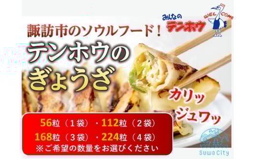 テンホウのぎょうざ(袋入り/冷凍生)