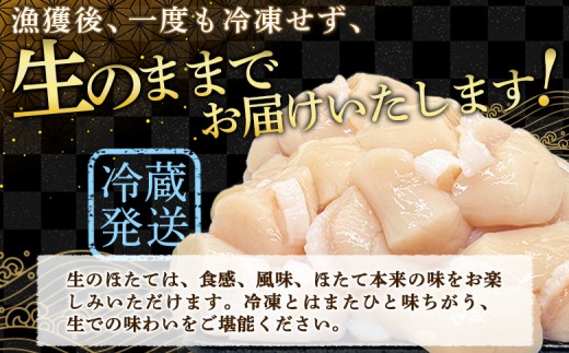 【北海道限定！生ほたて】《期間限定》北海道雄武産 生玉ほたて1ｋｇ　500ｇ×2塩水パック（冷蔵）