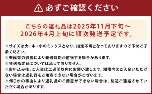 紅はるか 約3.5kg （5～25個）