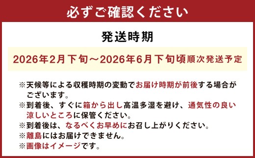 プレミアムデコ 8玉