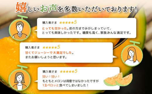 《好評につき8/22まで延長！！》とろける食感と甘い香り北海道三笠メロン2玉入（2.6kg以上）