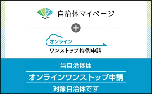 【選べる発送月】うなぎの極上焼セイロおにぎり（10個入り） 120g×10個