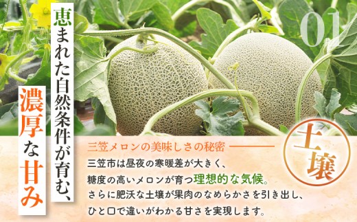《好評につき8/22まで延長！！》とろける食感と甘い香り北海道三笠メロン2玉入（2.6kg以上）