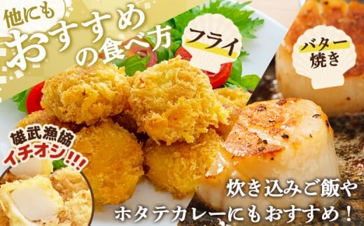 【北海道限定！生ほたて】《期間限定》北海道雄武産 生玉ほたて1ｋｇ　500ｇ×2塩水パック（冷蔵）