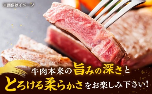 A4  和牛 赤身 モモステーキ 500g（100g×5）　