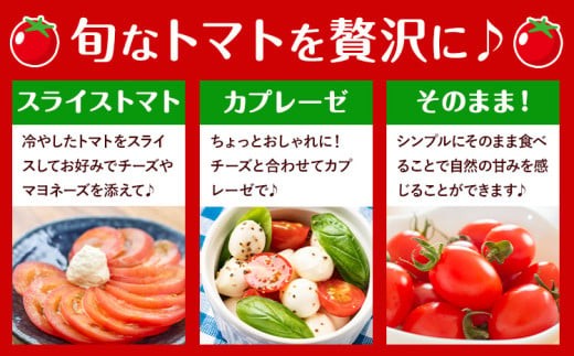 ※生産状況により、写真とは別の品種のミニトマトとなる場合がございます。