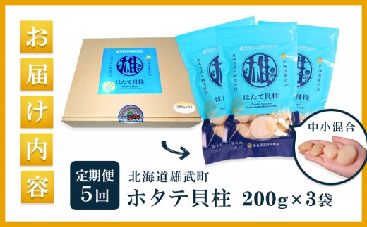 【定期便5回】　北海道雄武町産ほたて貝柱 中小混合 200g×3 (冷凍) 使い切りパック