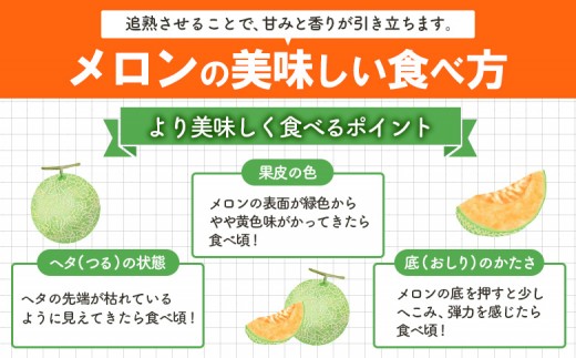 《好評につき8/22まで延長！！》とろける食感と甘い香り北海道三笠メロン2玉入（2.6kg以上）
