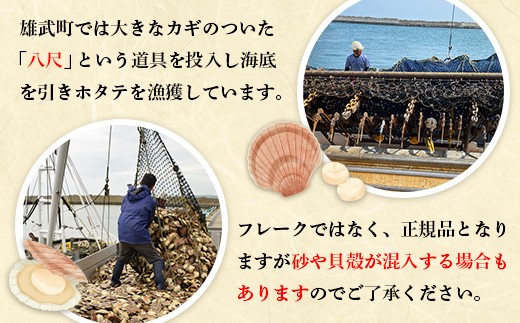 【北海道限定！生ほたて】《期間限定》北海道雄武産 生玉ほたて1ｋｇ　500ｇ×2塩水パック（冷蔵）