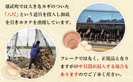 【北海道限定！生ほたて】《期間限定》北海道雄武産 生玉ほたて 300ｇ×2 塩水パック(冷蔵)