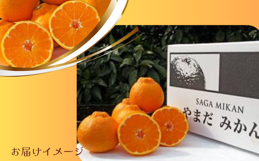 画像はイメージです。