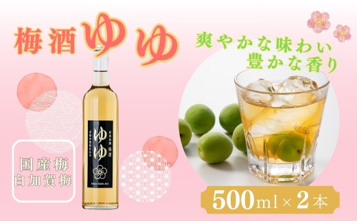 梅酒ゆゆ 500ml×2本 国産梅 白加賀梅 米焼酎 新潟銘醸 [0002-0032-01]