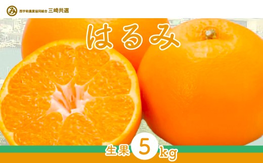 【先行予約】【数量限定】はるみ（生果5kg）※離島への配送不可（2026年1月下旬～2月上旬頃に順次発送予定） 【 ふるさと納税 人気 おすすめ ランキング 柑橘 みかん ミカン はるみ mikan 蜜柑 果物 生果 フルーツ 愛媛県産 愛媛県 伊方町 送料無料 】 IKTBD009 2138216 - 愛媛県伊方町