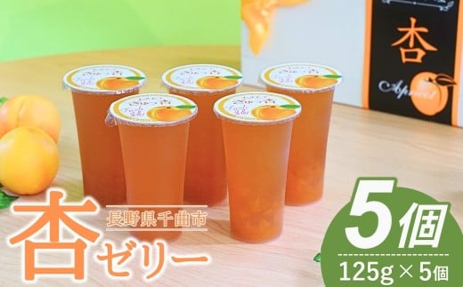 あんず ゼリー(長野県産あんず) 5個 ギフトセット| 杏子 アンズ おやつ デザート スイーツ 軽食 国産 千曲市 長野県産 信州