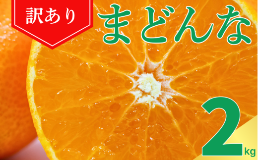 訳あり まどんな 2kg サイズ ミックス マドンナ 愛果28号 柑橘 かんきつ フルーツ 果物 旬 みかん ミカン 国産 お取り寄せ 通販 訳あり品 サイズ不揃い 家庭用 おやつ スイーツ ジューシー 甘い みずみずしい ゼリー 食感 さわやか 甘味 酸味 新鮮 期間限定 旬の味覚 薄皮 愛媛県 愛南町 愛なんよ