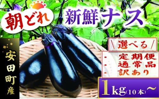 収穫したその日に発送します