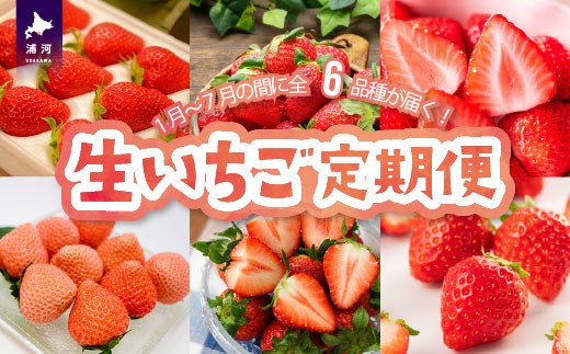浦河産いちごを農園直送でお届けします!